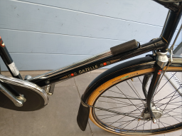 Gazelle tour populair special Edition