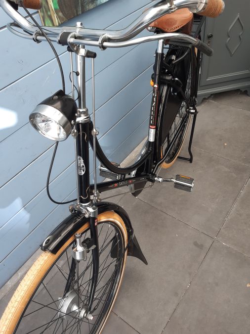 Gazelle Beauty Black - kopie