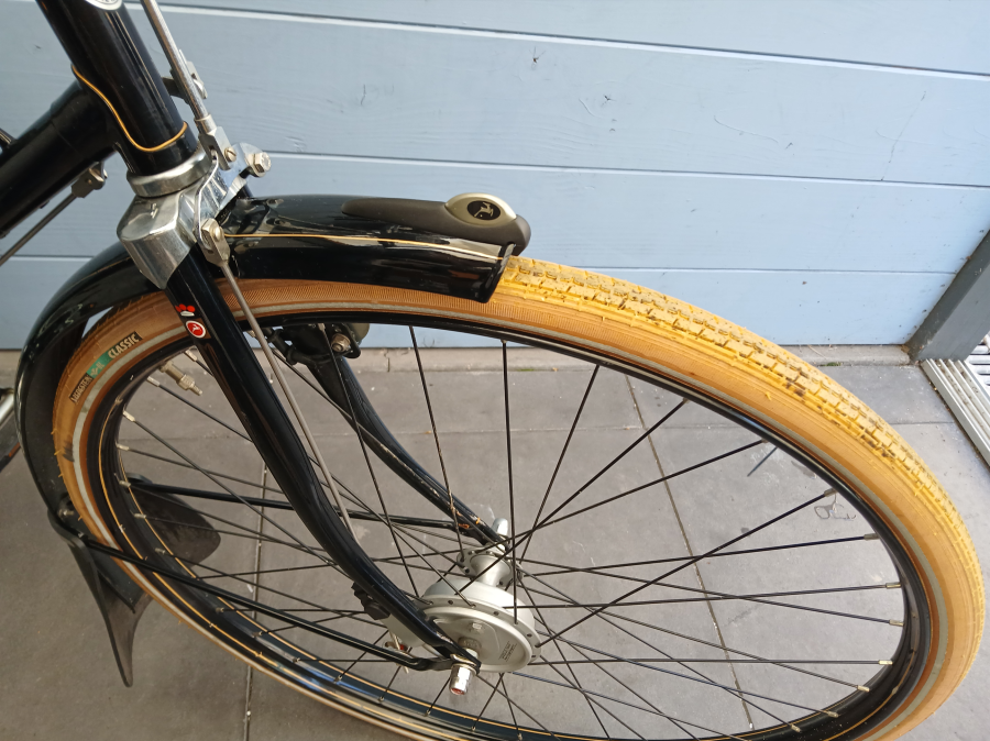 Gazelle tour populair special Edition - kopie