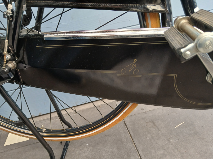 Gazelle tour populair special Edition - kopie